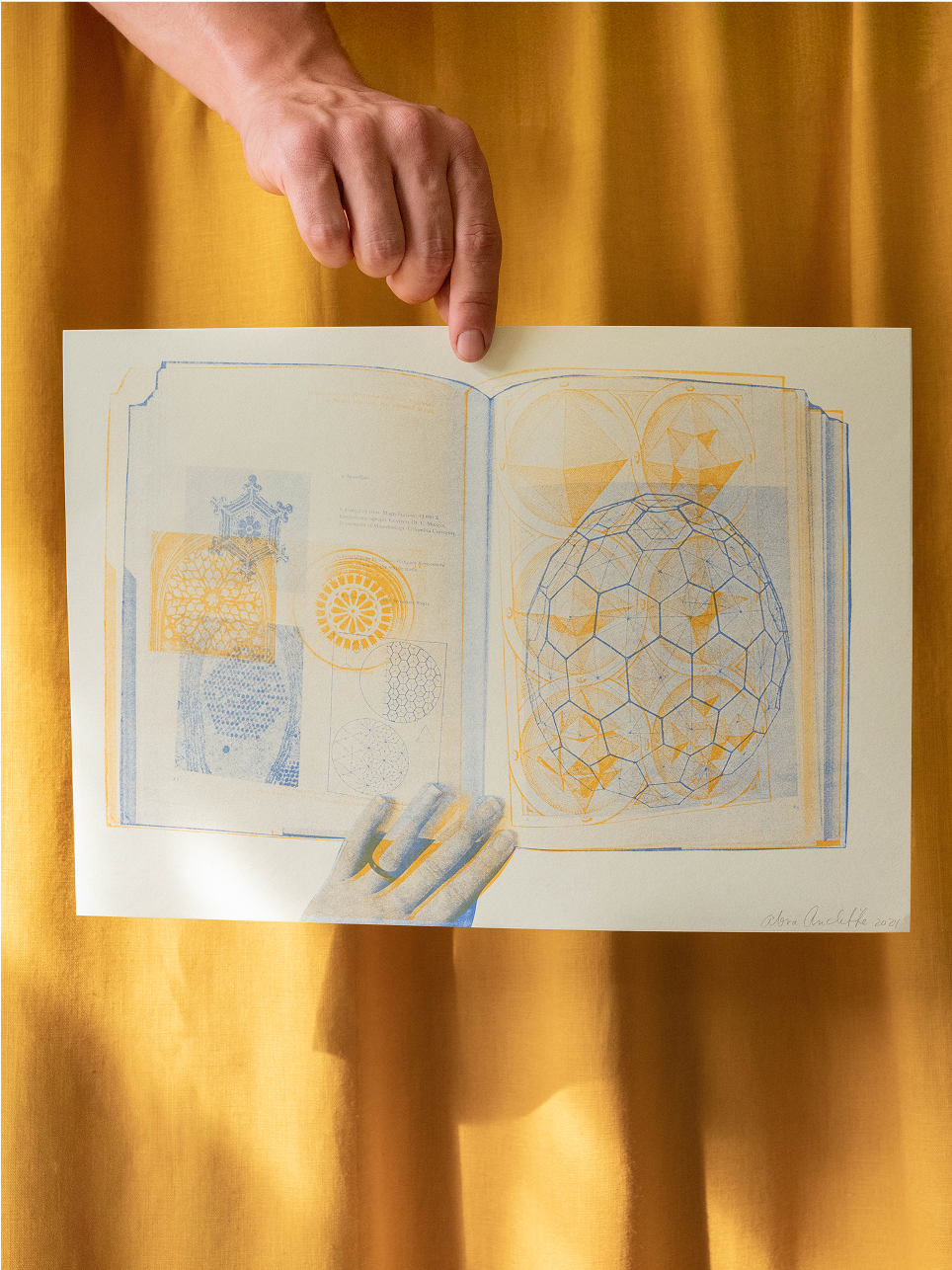 'Bucky' Print