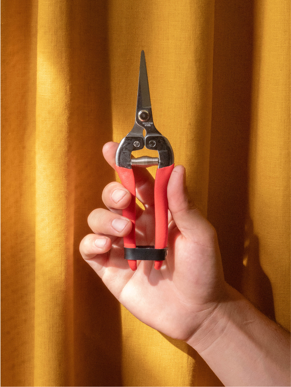 Red Snips