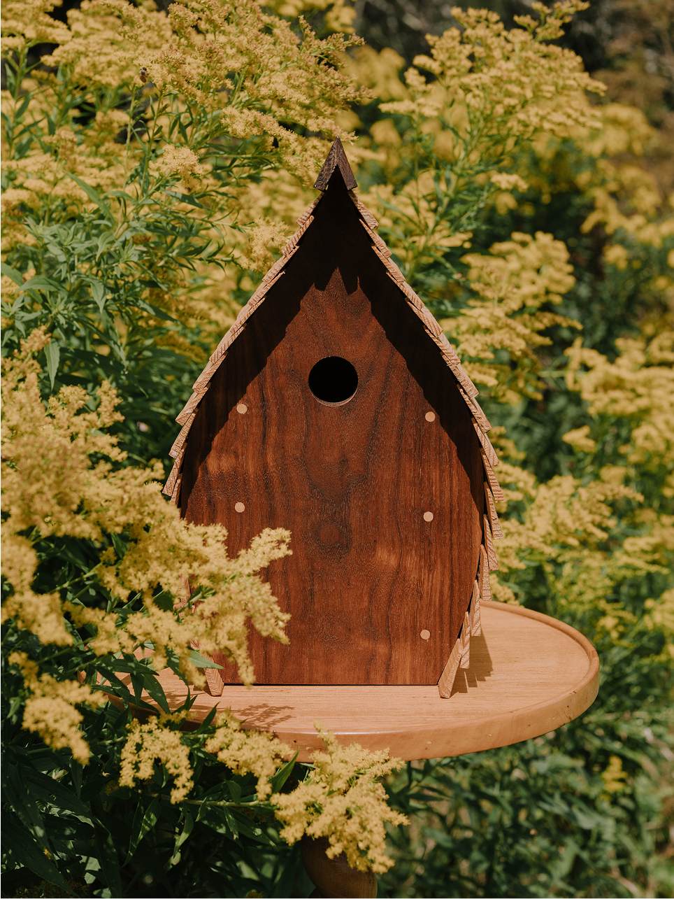 Arc Nest Box