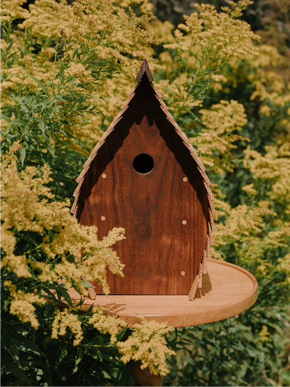 Arc Nest Box