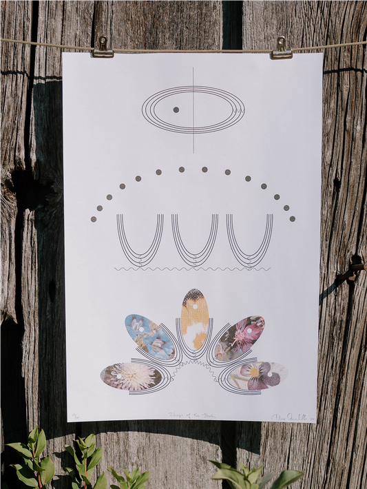 Shape of the Book Print