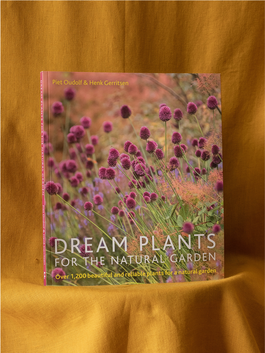 Dream Plants