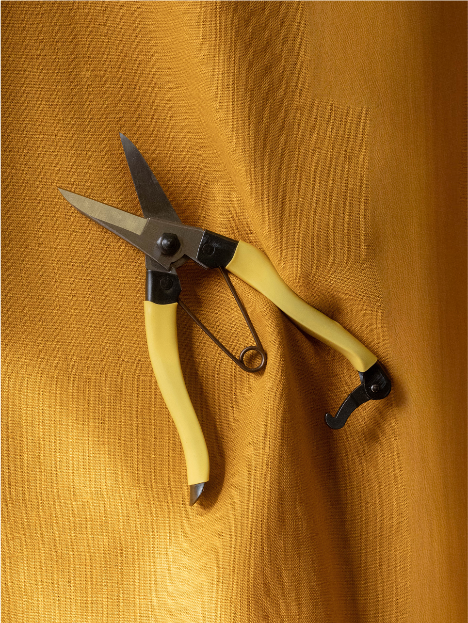 Mainichi Snips – Spring Road Nursery