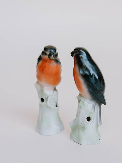 Birdsong Vessels