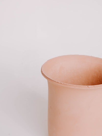 Amaryllis in Terracotta