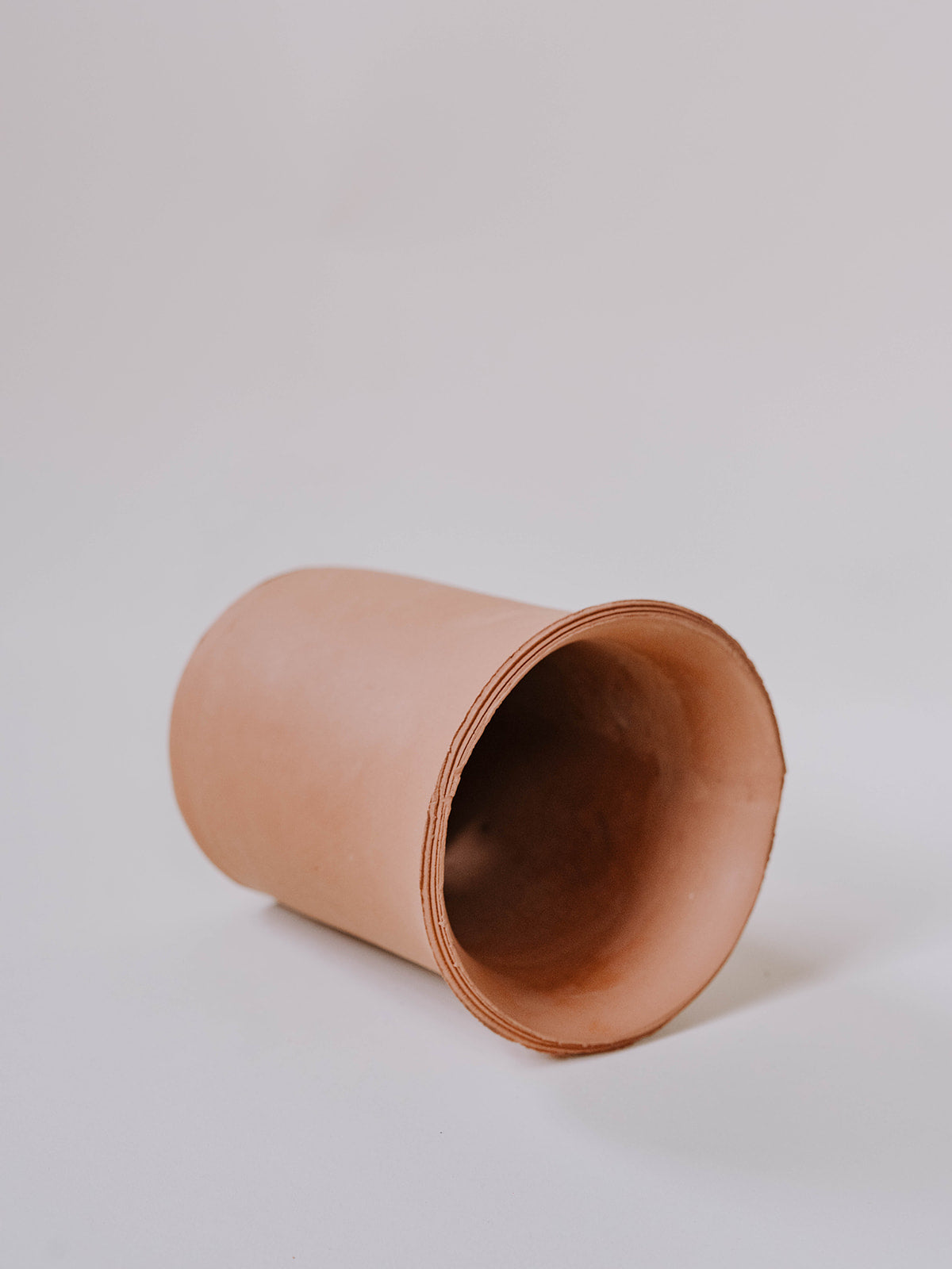 Herbs in Terracotta