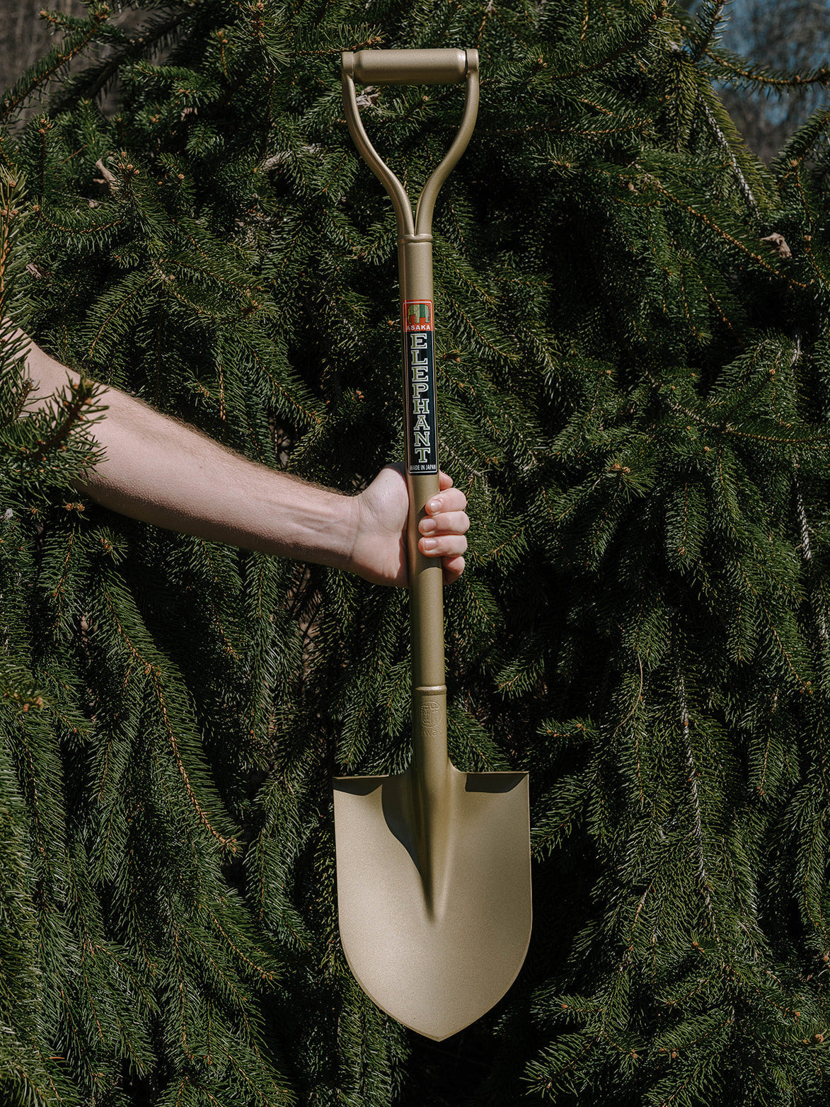 Golden Spade