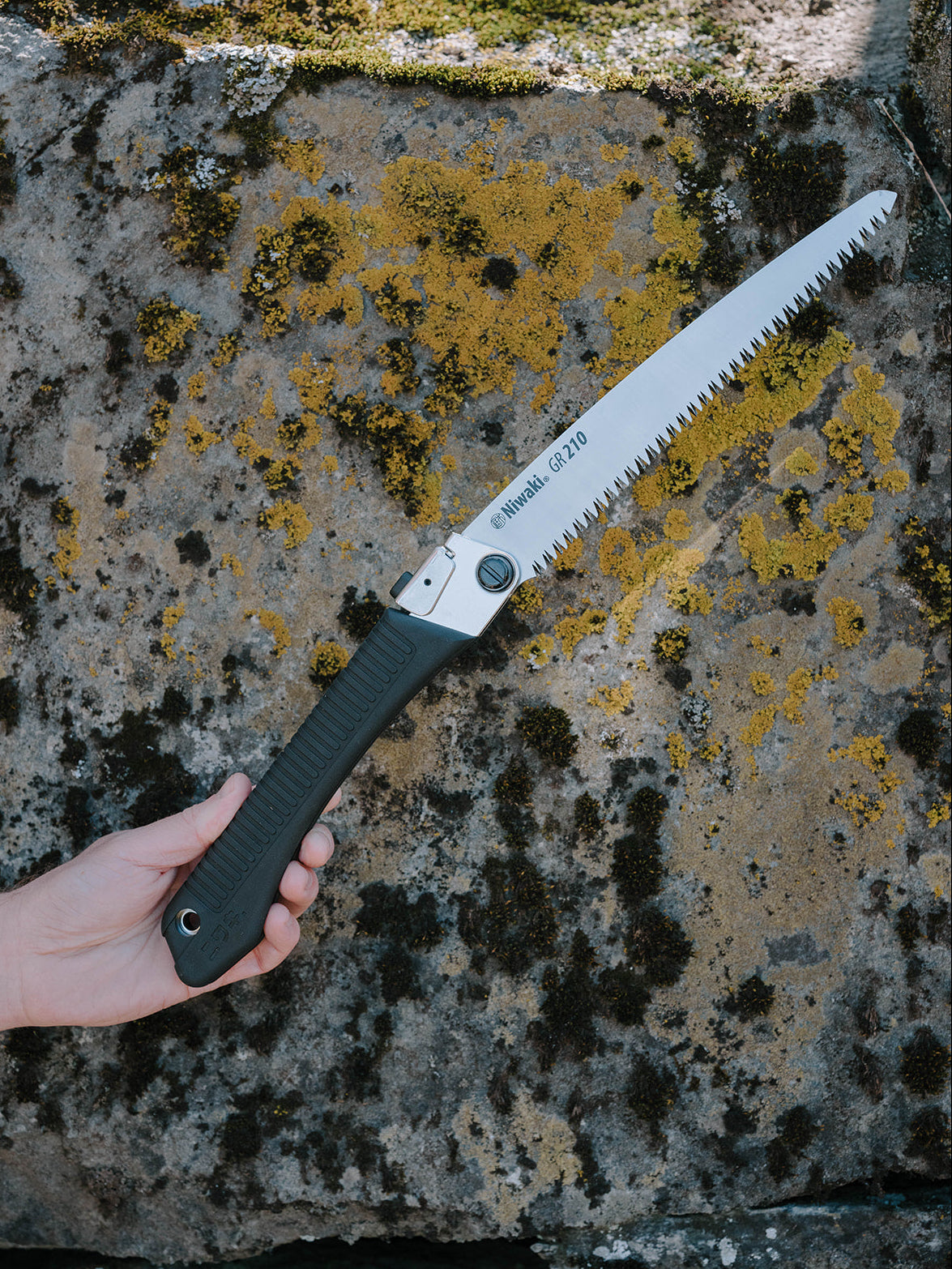 Folding Saw
