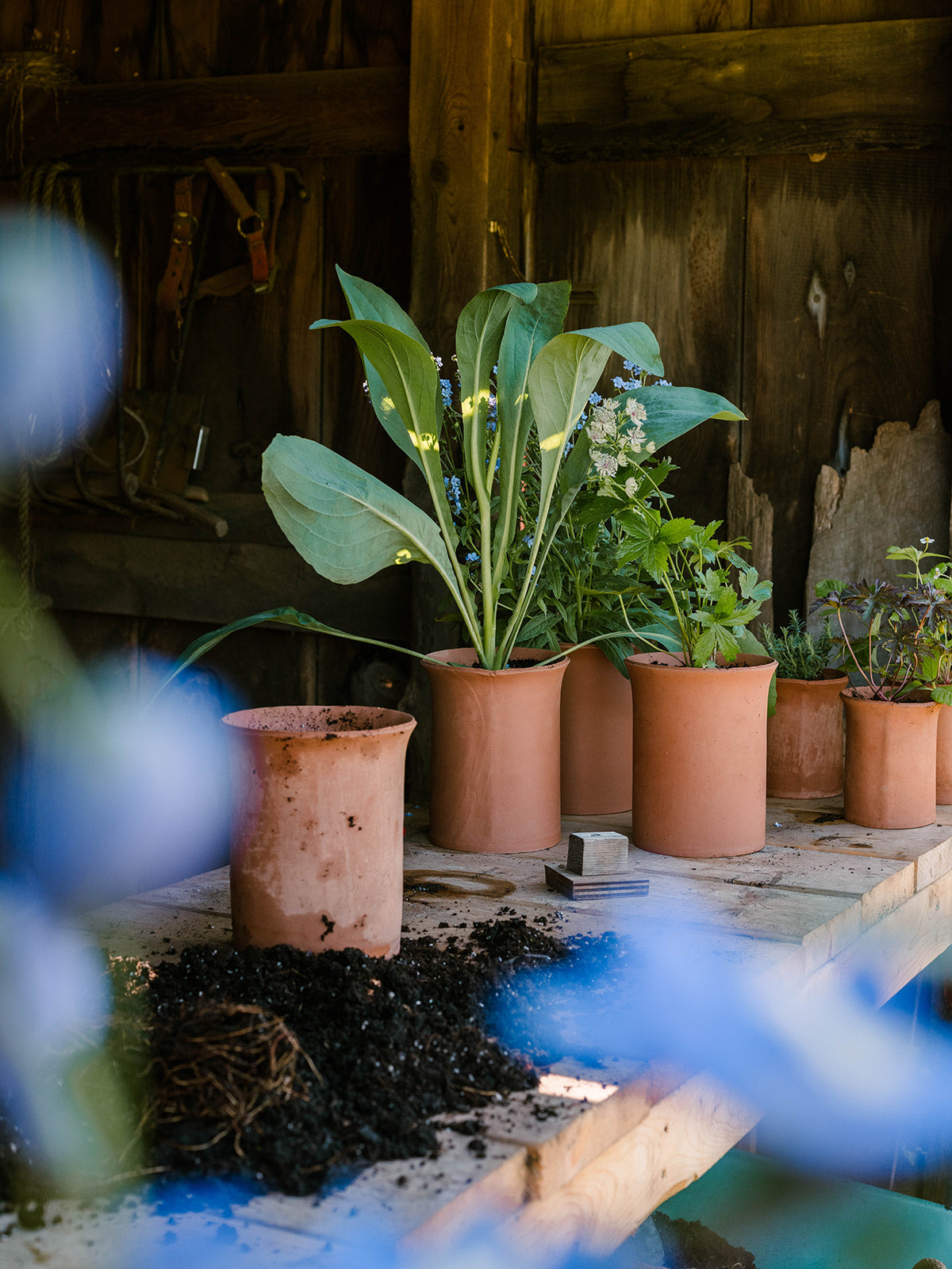 Serrated Planter