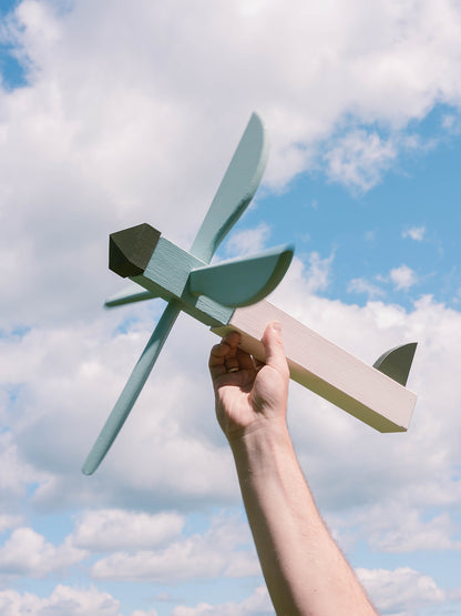 Whirligig