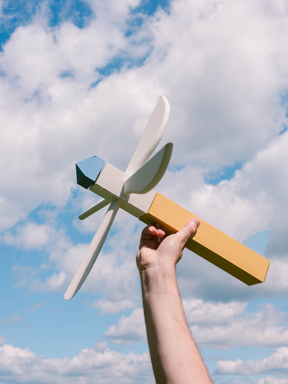 Whirligig