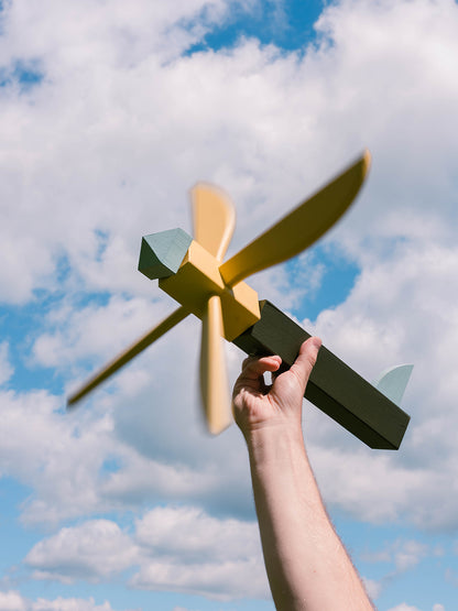 Whirligig