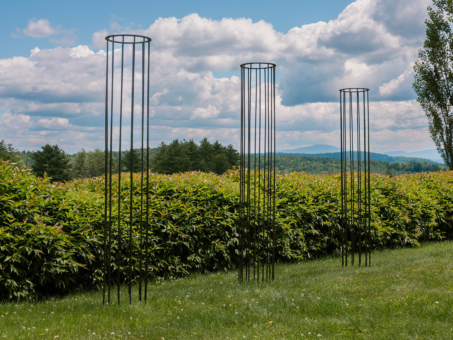 Column Trellis