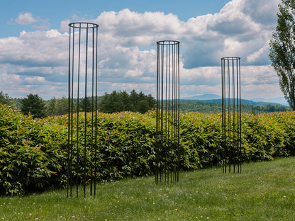 Column Trellis