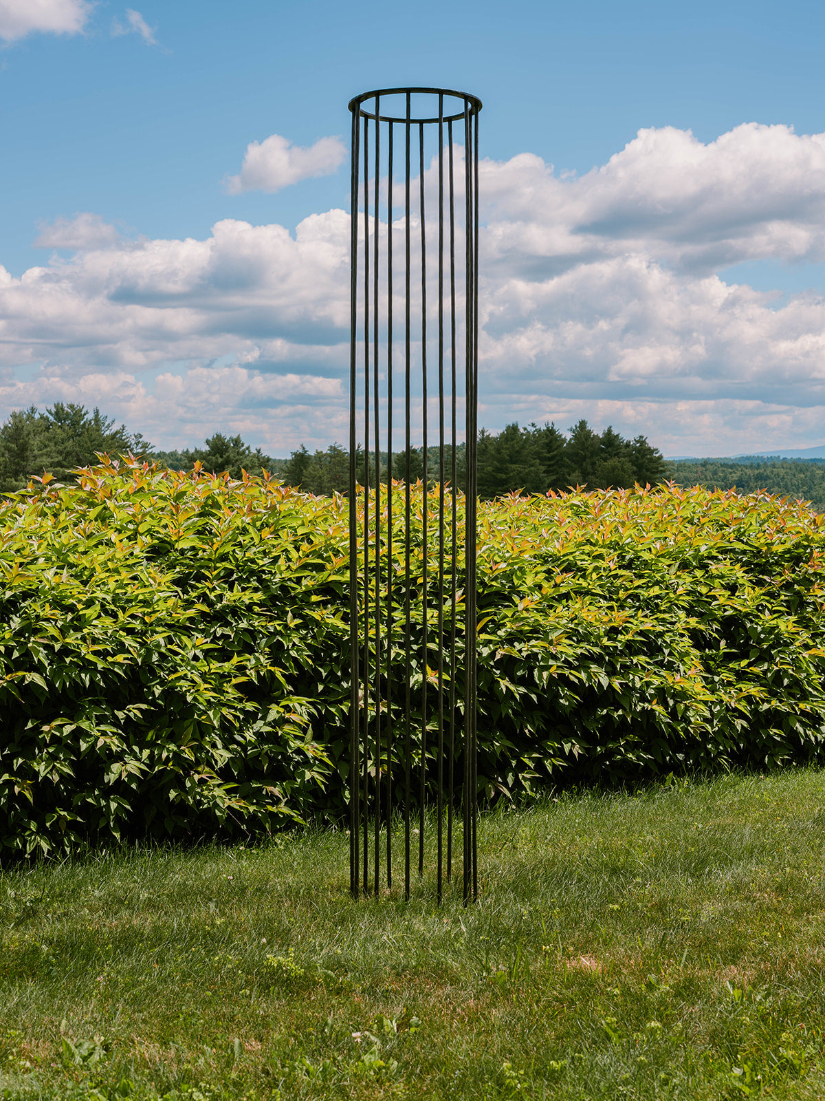 Column Trellis
