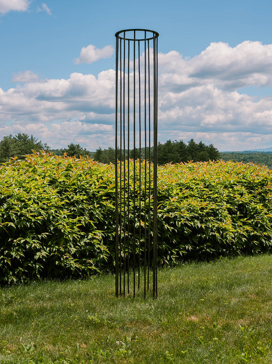 Column Trellis