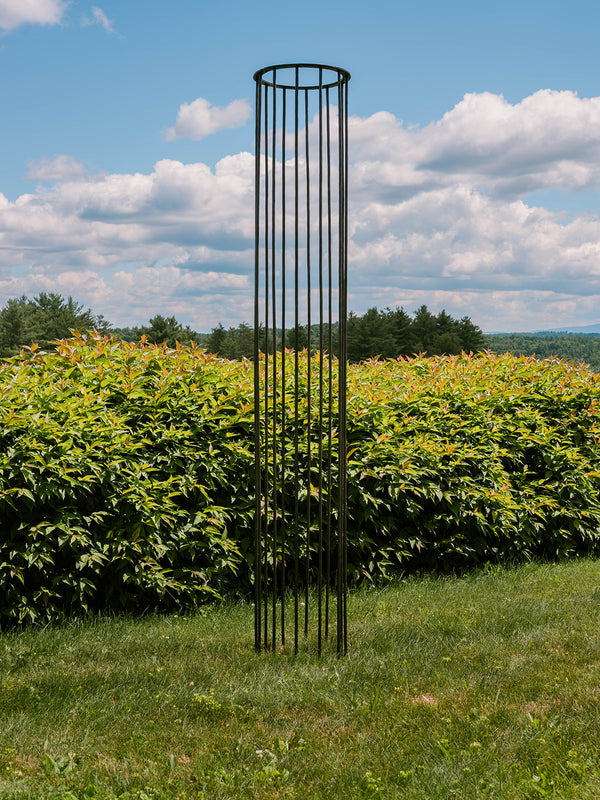 Column Trellis
