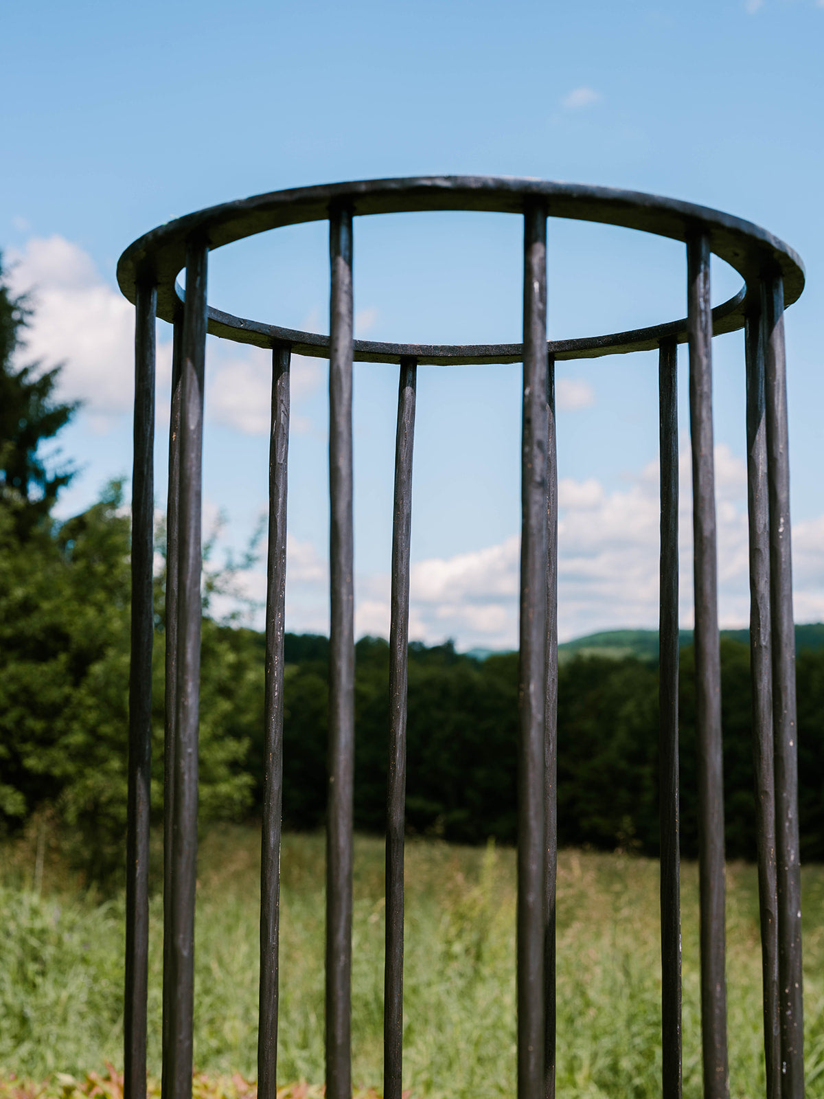 Column Trellis