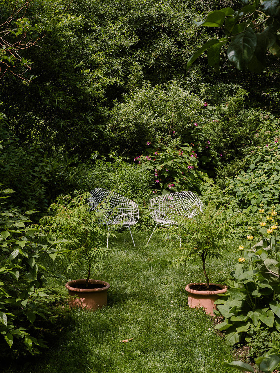 Fold Planter 'Wide + Tall'