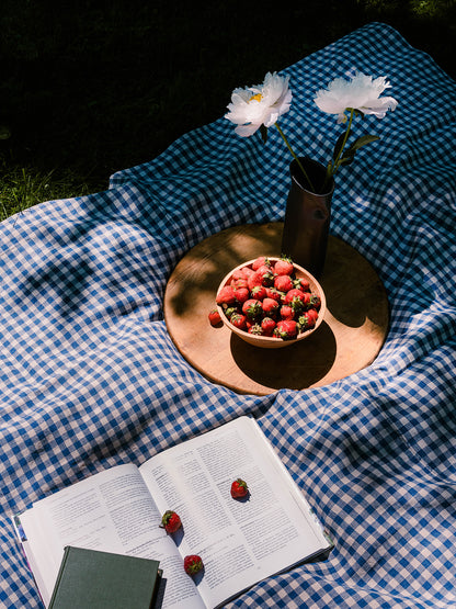 Gingham Gathering Blanket