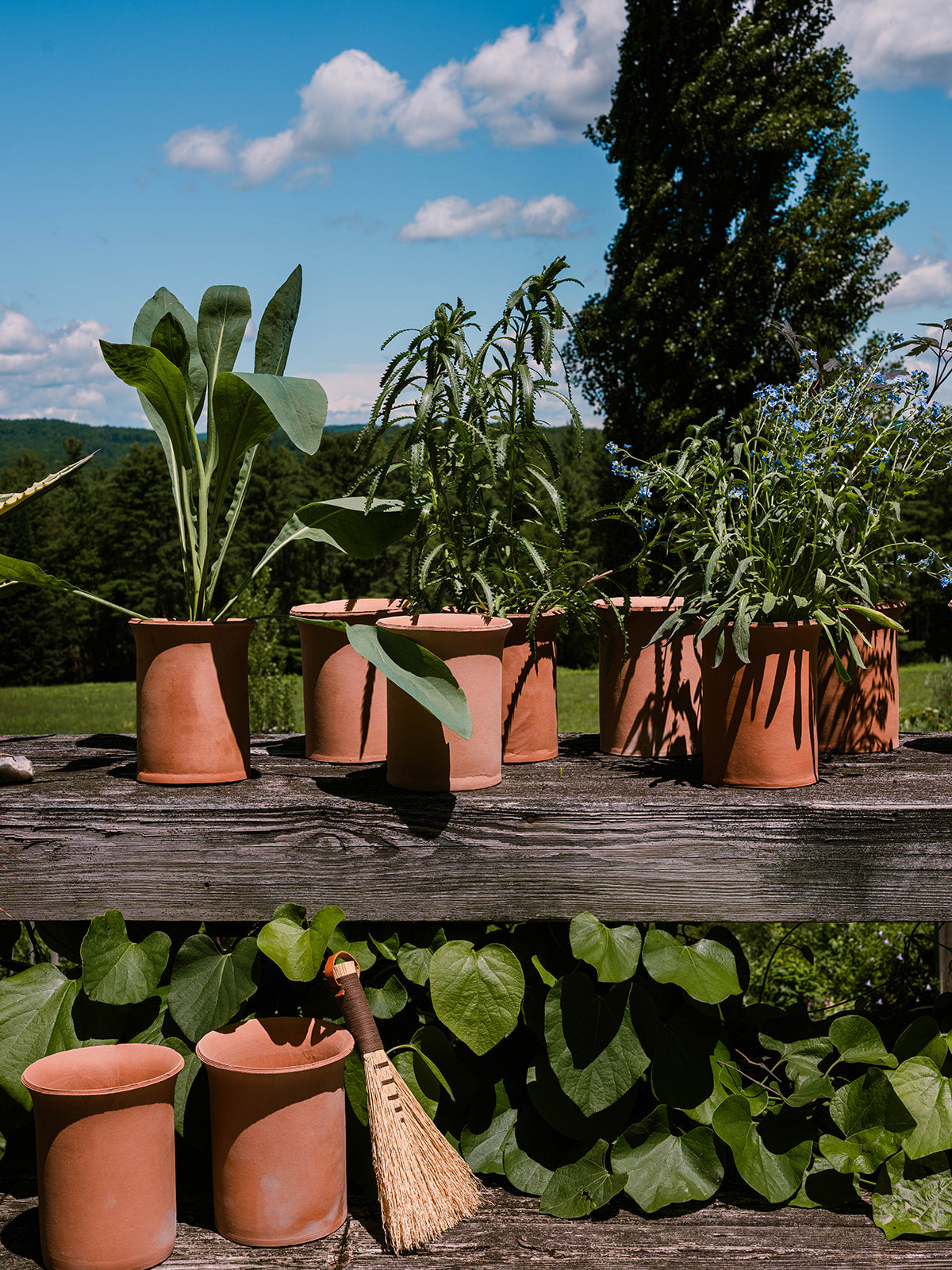 Serrated Planter