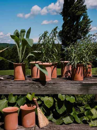 Serrated Planter