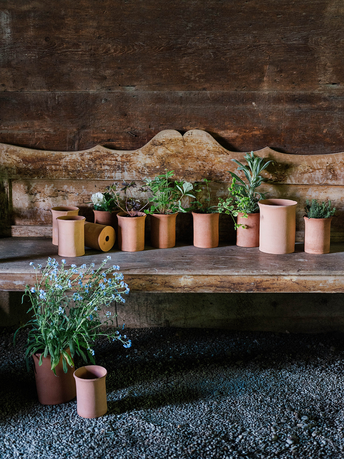 Serrated Planter 'Mini'