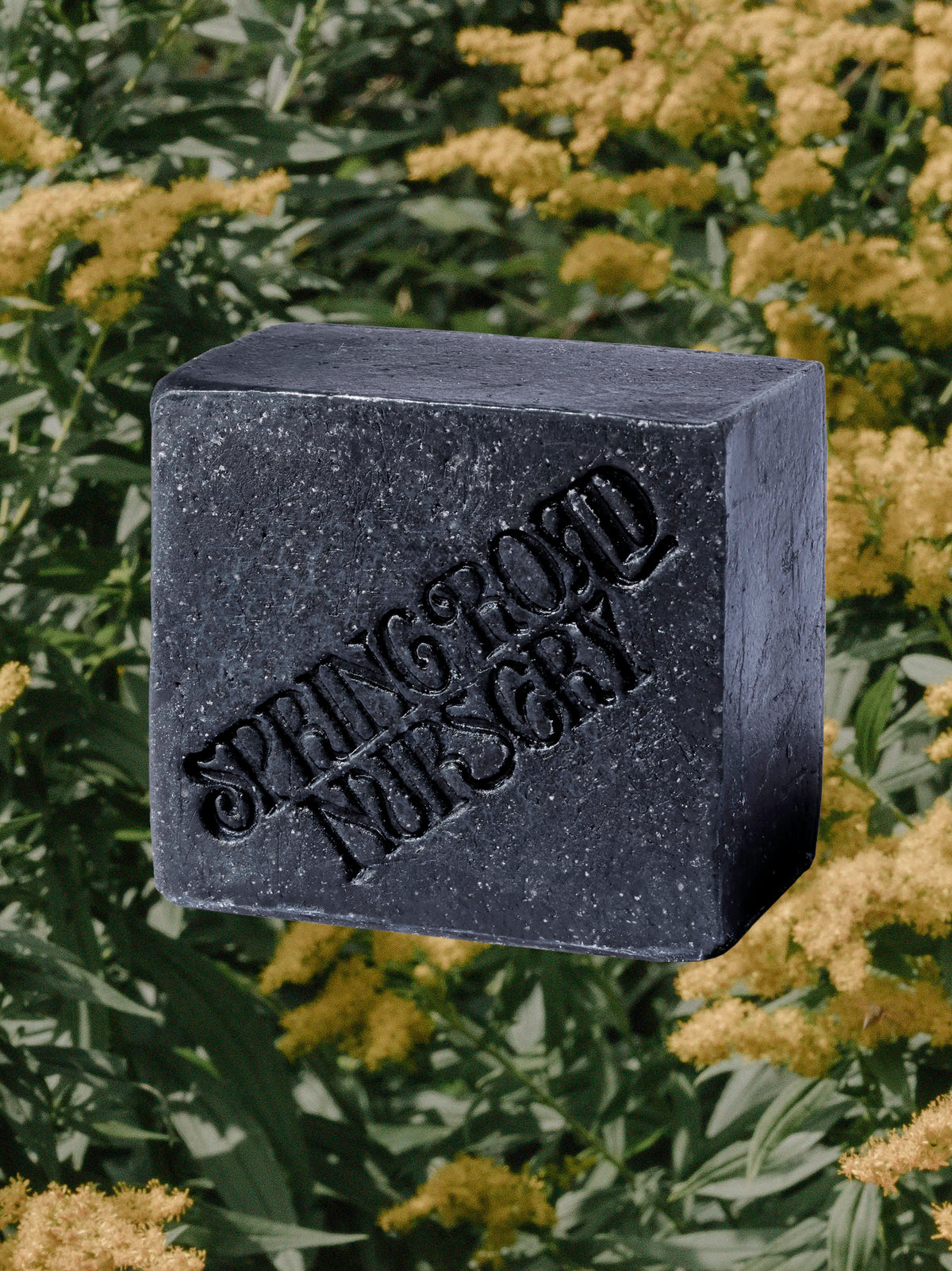 After Soil Soap