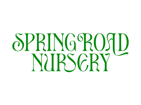 Spring Road Nursery