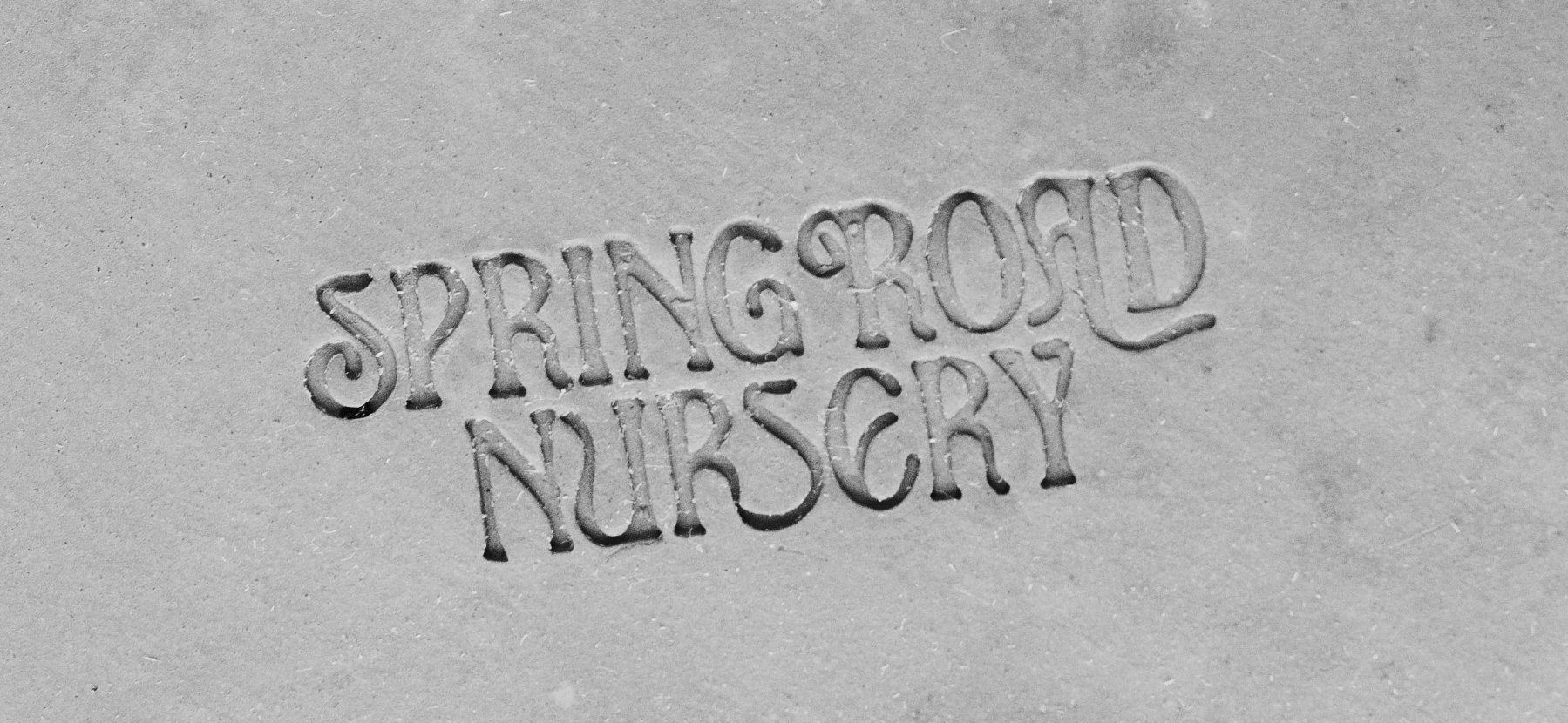 Garden design project by Spring Road Nursery